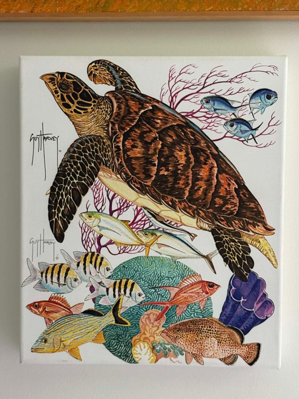Signed Guy Harvey Sea Turtle Canvas 12x14 – Jamaica Fundraiser
